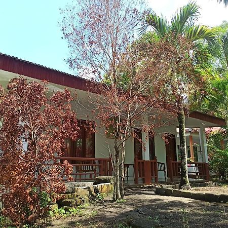 Tangkoko Jungle Homestay Rinondoran Екстериор снимка