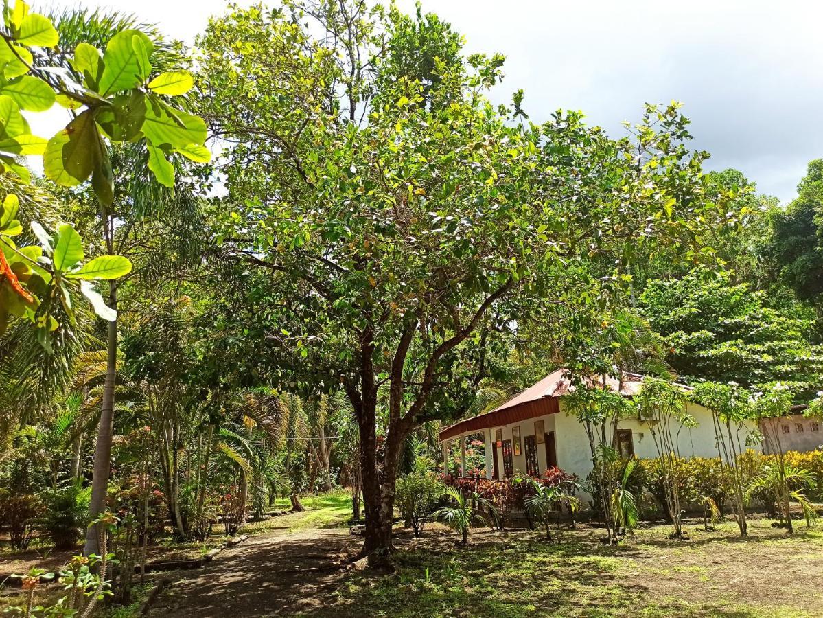 Tangkoko Jungle Homestay Rinondoran Екстериор снимка