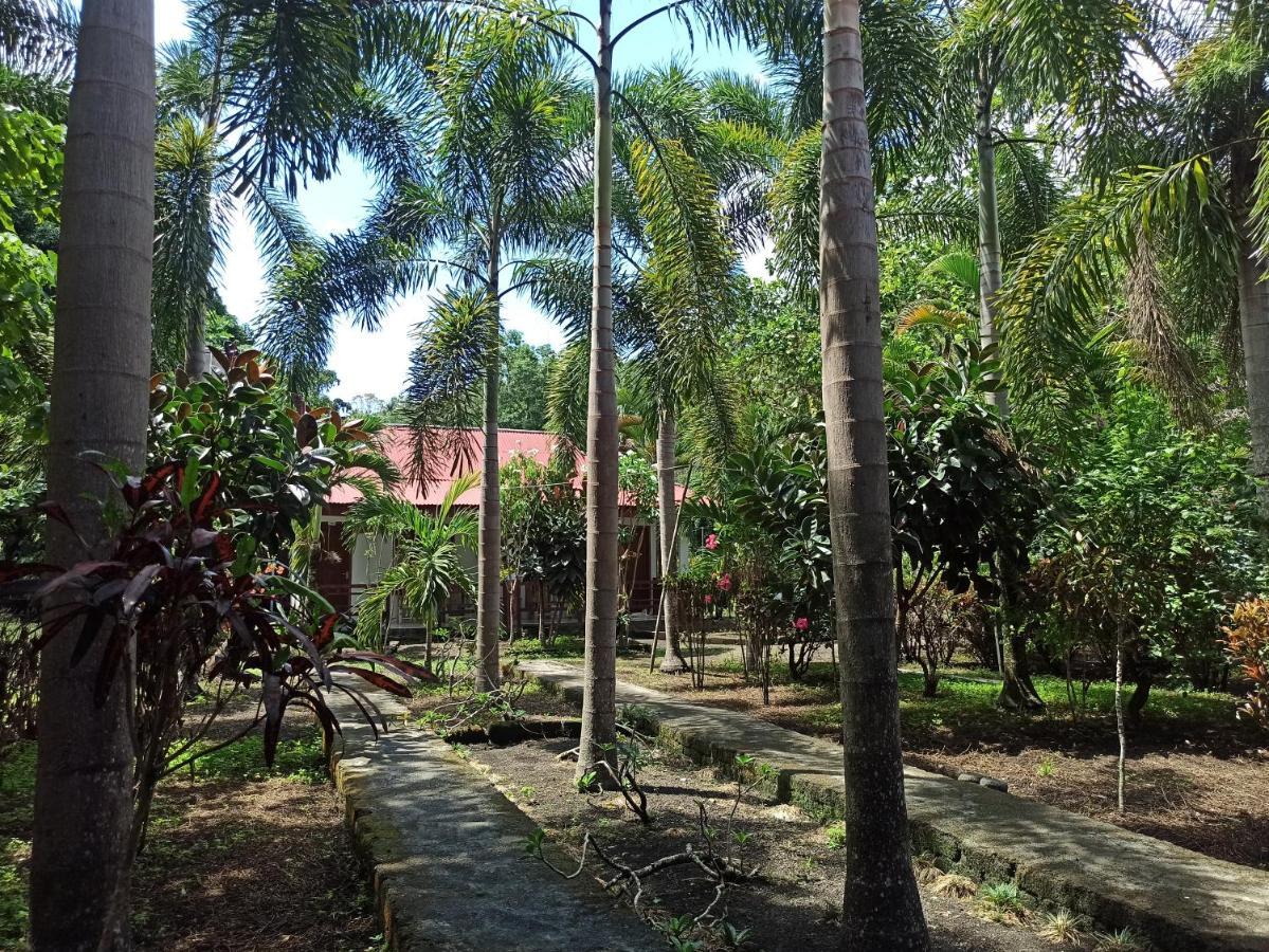 Tangkoko Jungle Homestay Rinondoran Екстериор снимка